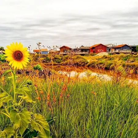 Classee 3 Etoiles Familiale Calme Et Nature Etaules (Charente-Maritime)